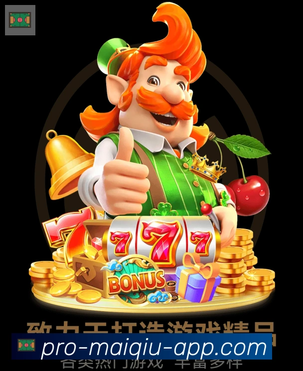 未来规划
